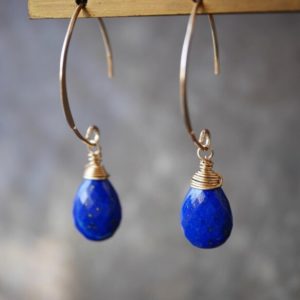 Lapis lazuli exotic pear-shaped earrings